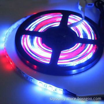 Flash Dream Running Horse Race LED Strip, SMD 5050, 54 LEDs/m, Water-resistant